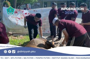 Pelaksanaan Qurban 1445 H Yayasan Diniyyah Pekanbaru